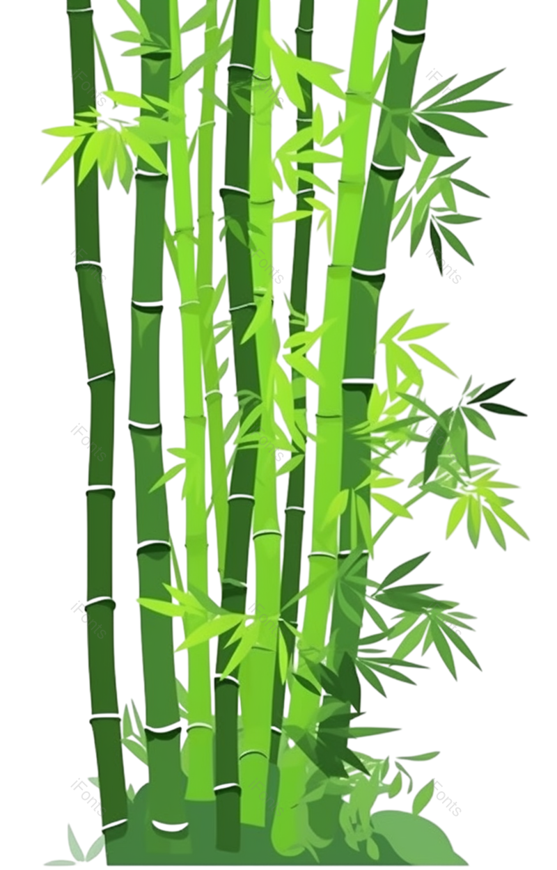 叶子图片,元素元素,竹叶PNG,插画免抠素材